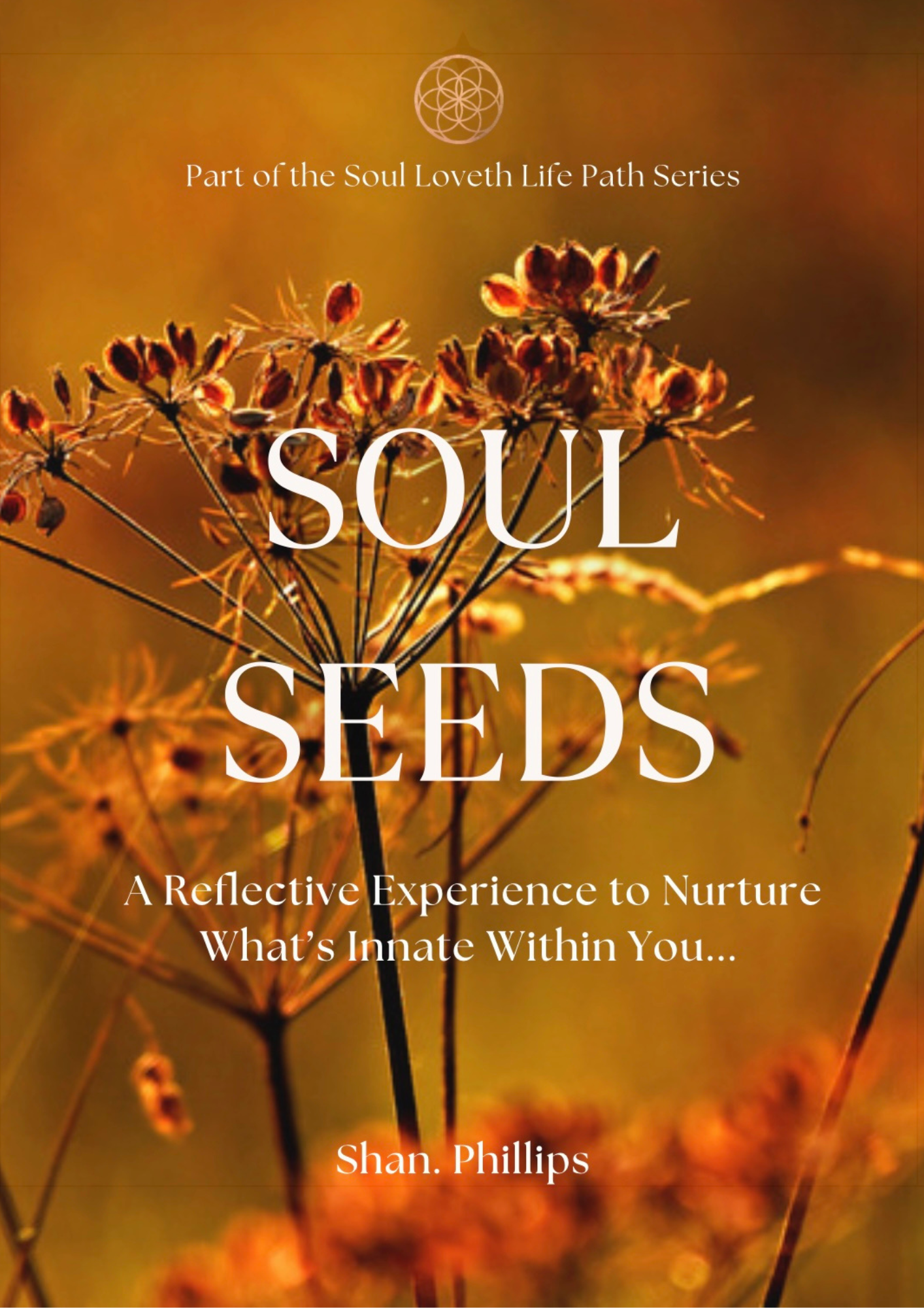 Soul Seeds: A Reflective Experience To Nurture What's Innate Within You  (Digital Download)